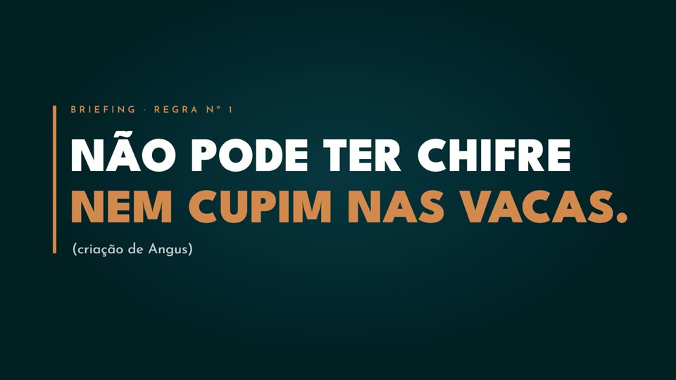 Fazenda São Daniel do Sul: Branding and naming